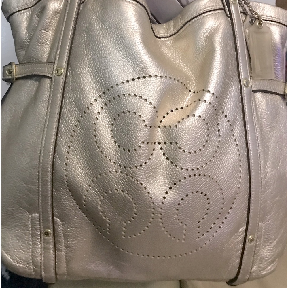 EUC Metallic Coach Bag